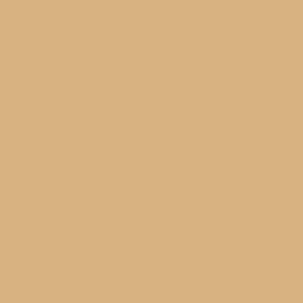 2165-40 Dark Beige - Paint Color | The Color Palette Paint Store