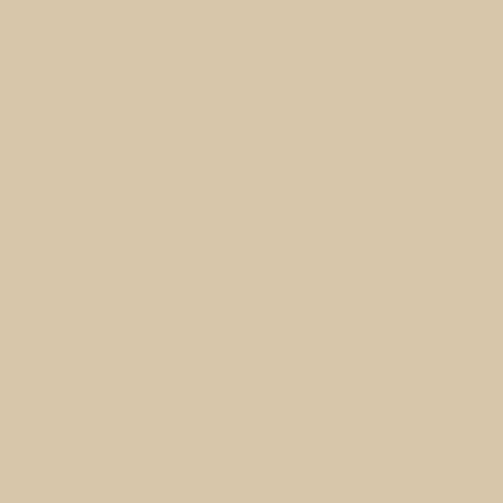 1128 Adobe Beige - Paint Color | The Color Palette Paint Store