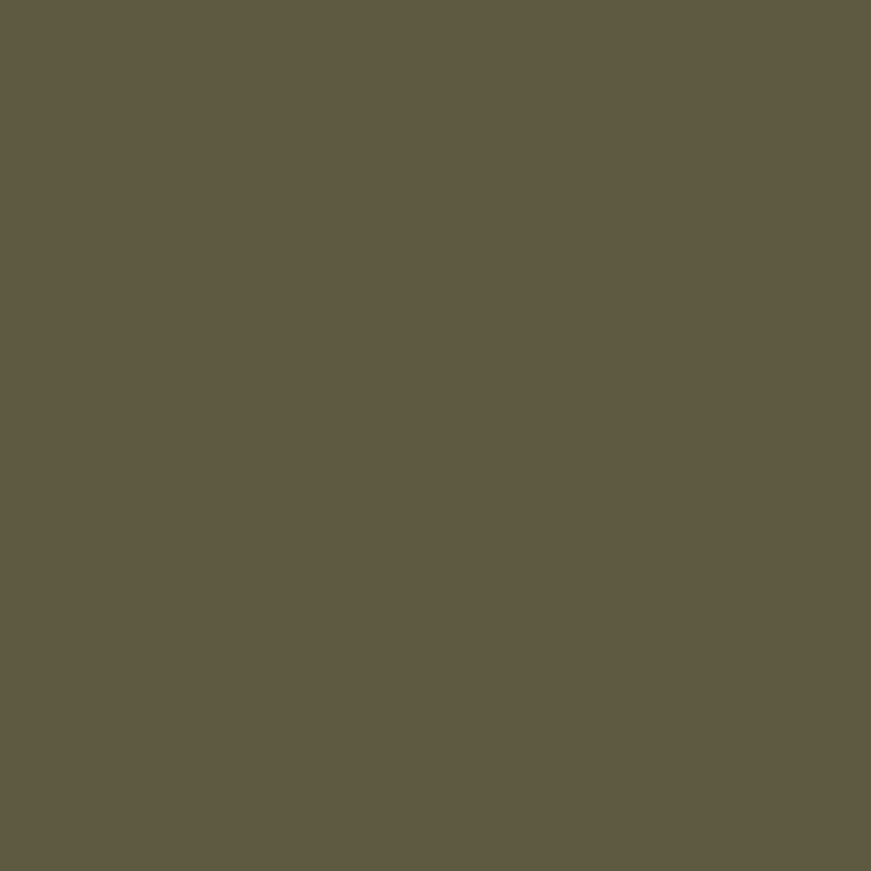 Everything about the color Olive