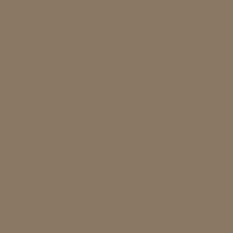 Tan paint online colors